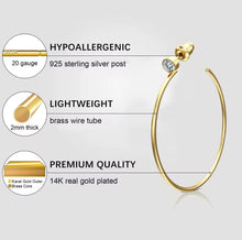 Aisha Hoop Earrings